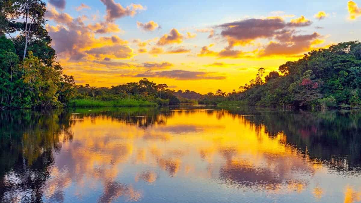 Toldos Amazonas