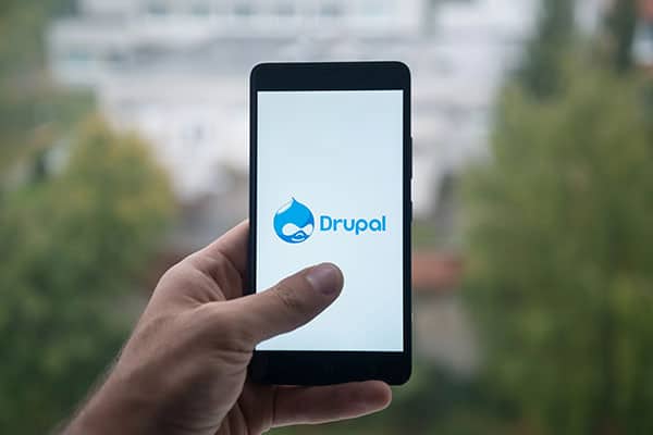 Experto en Drupal